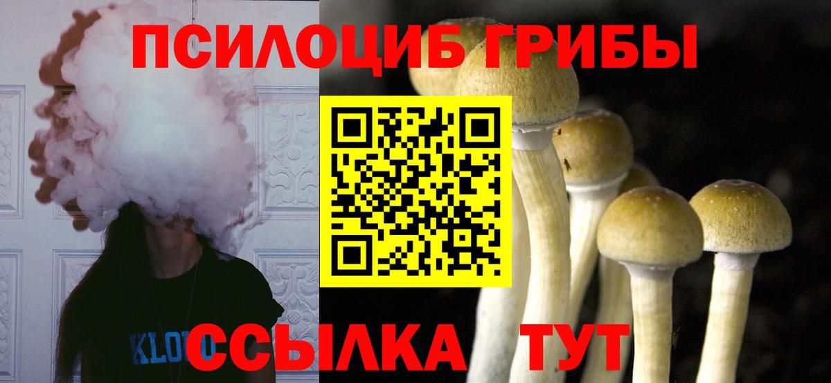 Псилоцибиновые грибы Magic Shrooms  Вход с VPN  Уссурийск 